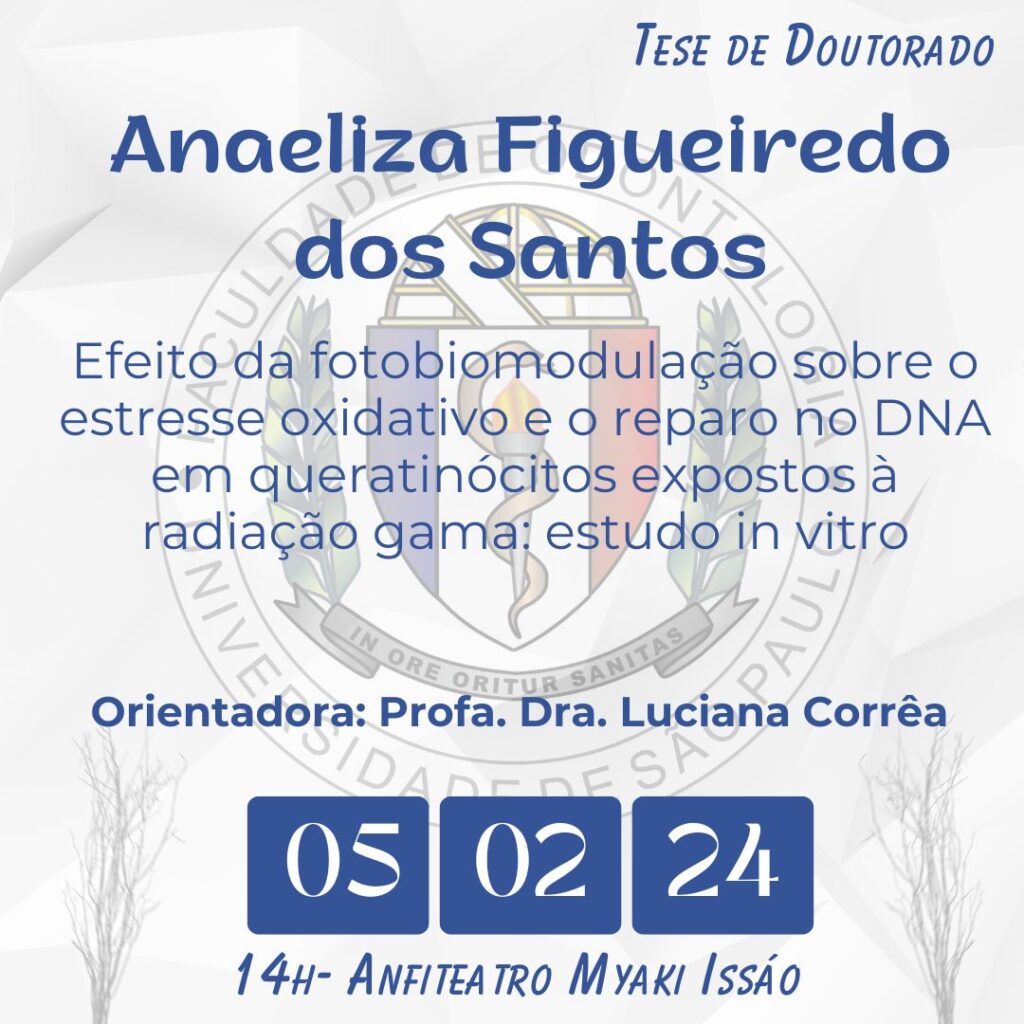 Leia mais sobre o artigo Tese de Doutorado de Anaeliza Figueiredo dos Santos