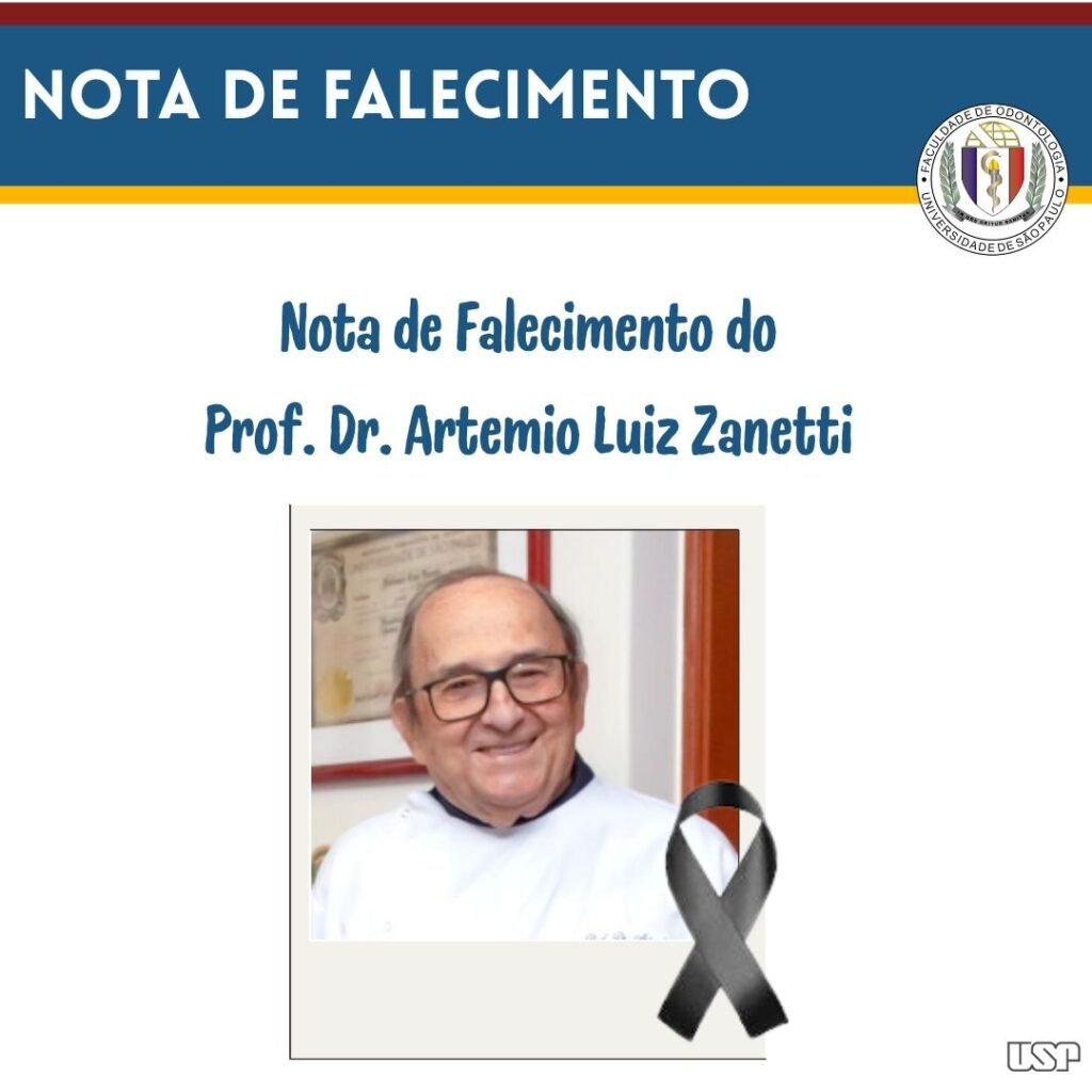 FEED - Modelos diversos 2026